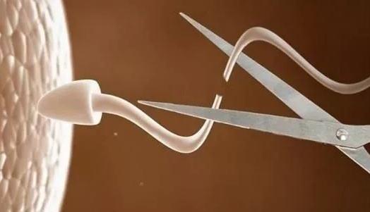 长达6年，美国FDA批准史上使用时间最长的激素宫内避孕器