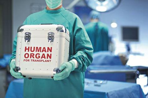 13所医疗机构最新获批人体器官移植执业资格
