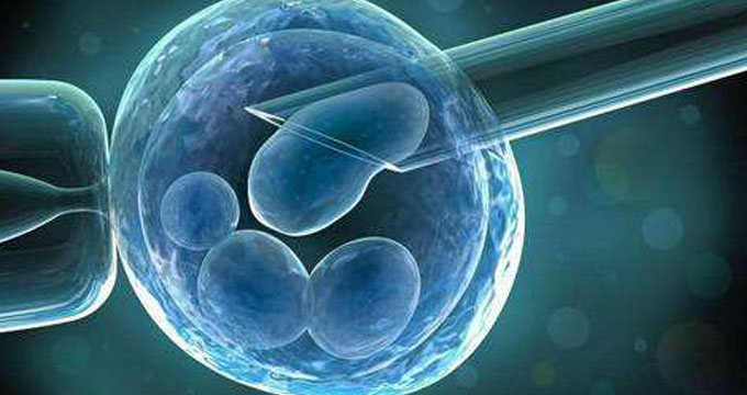 又一家张江企业获得CD19 CAR-T临床批件