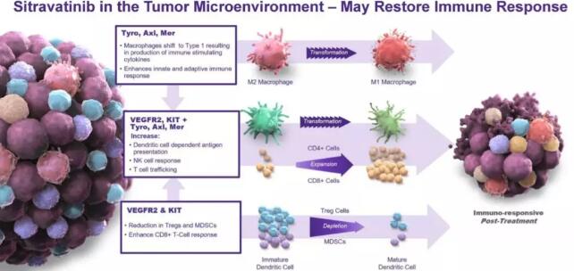 对PD-1疗法产生抗性怎么办？来自美国免疫疗法学会年会的答案
