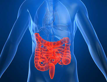 肠炎恶化为结肠癌有迹可循