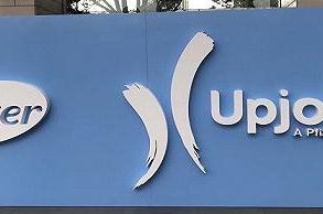 辉瑞普强人员变动赔偿政策透露