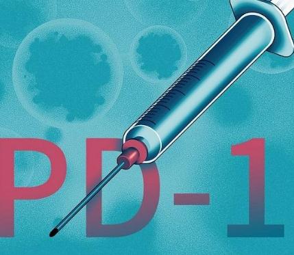 PD-1“千亿”市场攻坚：第一军团已就绪，第二梯队为杀出重围各寻“奇招”，格局能否颠覆？