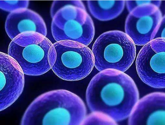 盘点: 全球干细胞产品研发进展