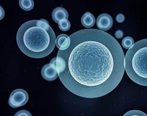 Nat Cell Bio综述 | 干细胞疗法研究进展