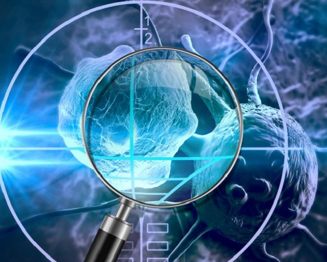 ASH | 缓解率100%！杨森/南京传奇CAR-T疗法结果惊艳，BMS两款CAR-T疗法将递交监管申请