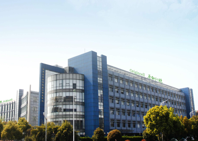 细胞药物研发企业原能医学获启明创投A轮8000万投资