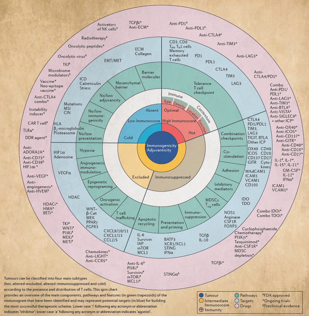  Nature | 癌症免疫疗法12张干货图片