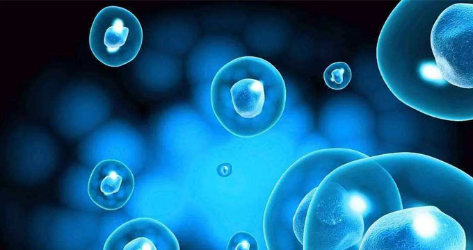 又一省份出台干细胞临床研究机构和备案政策