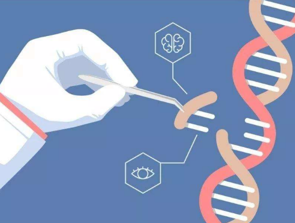 获批药物群星闪耀，基因治疗新时代来了？
