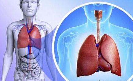 武汉发现不明原因肺炎，暂不能断定是SARS