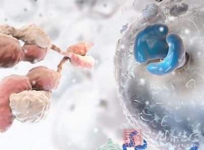 盘点 | 肿瘤免疫治疗进展