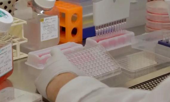 被FBI带走的医学博士，带21瓶癌细胞到底有什么用？