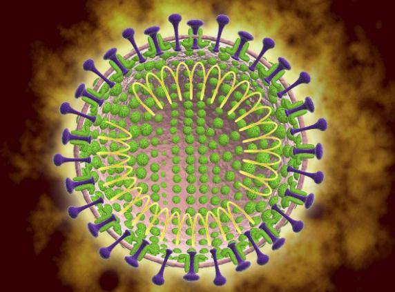 武汉不明原因肺炎病原体初步判定为新型冠状病毒