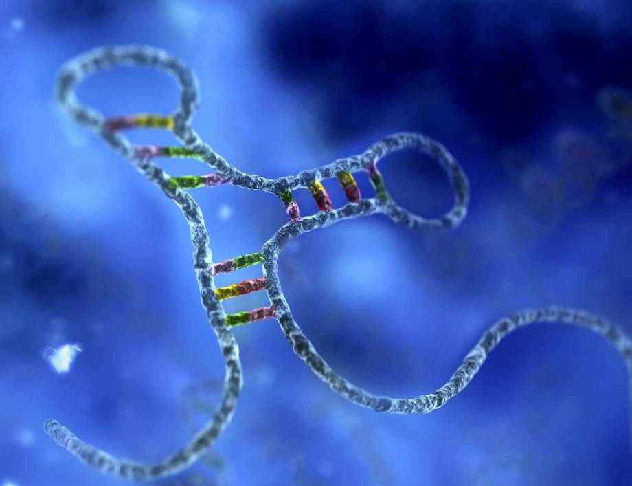 2020-2024年全球RNAi技术市场有望增值至19.6亿美元