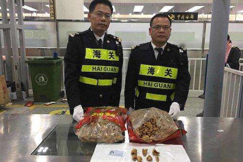 三部门对实施《进口药材管理办法》提出三方面注意事项