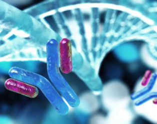 2020年最新抗体报告：一文详览36款药物