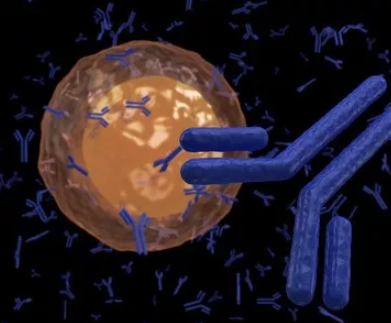 同日三篇《自然》！科学家们发现免疫系统抗肿瘤的新力量