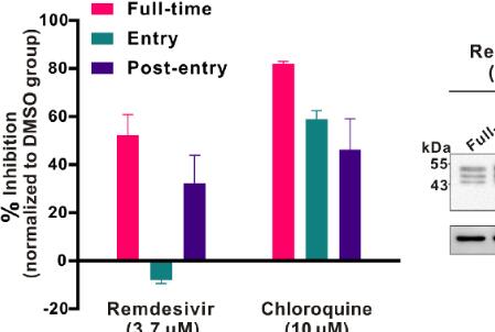 武汉病毒所1月21日申请瑞得西韦抗2019新型冠状病毒用途的专利，临床试验已开展