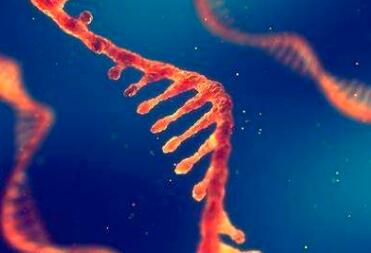 日本对新冠病毒肺炎患者使用艾滋治疗药后症状改善