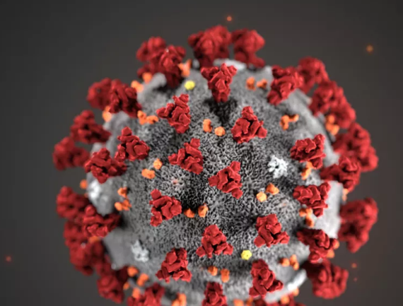 冠状病毒在体外可以存活多久？