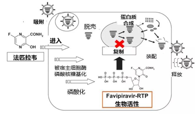 海正药业回应：法匹拉韦流感适应症已报产，考虑申请新冠肺炎临床试验