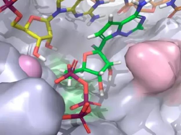 法匹拉韦、磷酸氯喹、瑞德西韦的前世今生