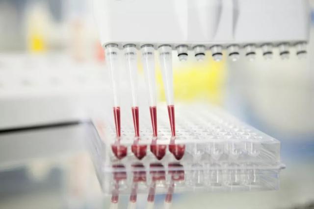 体内有抗体就能抵抗新冠病毒？ 专家：没这么简单