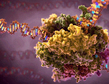 CB Insights首次发布中国RNA企业榜单，8家上榜