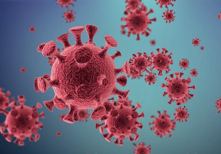 《自然》杂志刊登君实生物新冠中和抗体阶段性研究成果