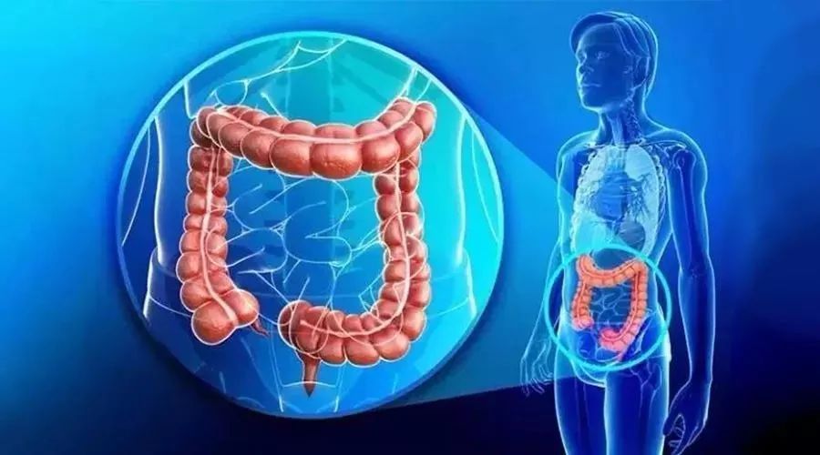 DESTINY-CRC01II期临床试验显示Enhertu治疗HER2阳性转移性结直肠癌患者的肿瘤缓解率达45.3%