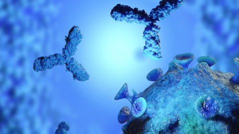 全球首个在健康受试者中开展的新冠病毒中和抗体临床试验启动