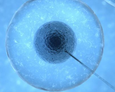 恒峰铭成干细胞产品获中检院检验报告