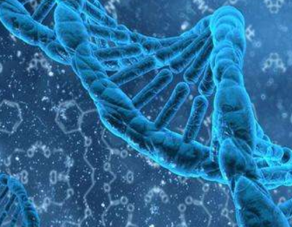 本导基因完成千万级pre-A轮融资，推进基因治疗布局