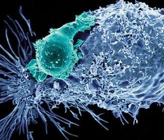 最全CAR-T药物上市审批总结