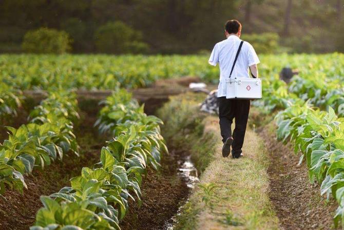 16个省份医学专业高校毕业生符合条件，可免试申请执业注册