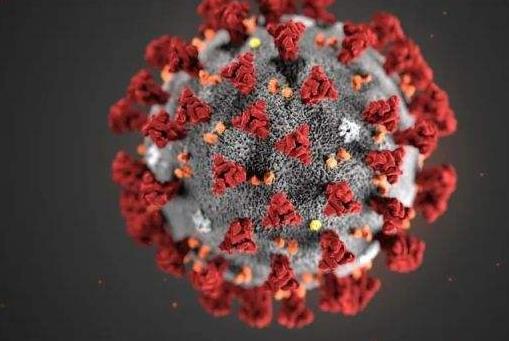 艾维替尼在美国获批用于新冠II期临床