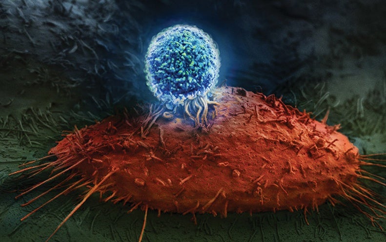 《中国抗体药产业健康发展报告》发布，我国抗体药产业处于发展初期