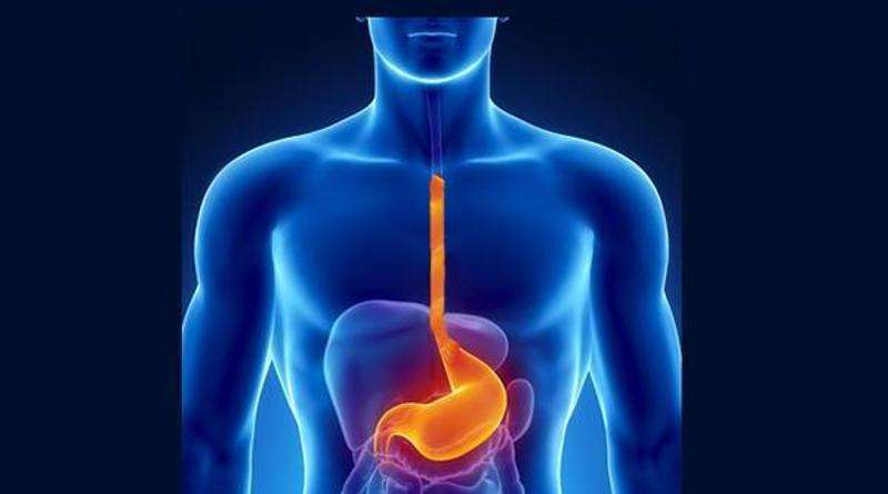 III期临床研究达主要终点，与化疗相比，欧狄沃联合化疗用于胃癌与食管癌一线治疗显著提升总生存期与无进展生存期