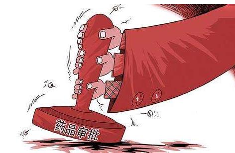 药审改革五年考