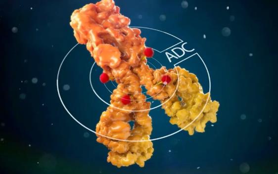 国内首个ADC药物申报上市，拟纳入优先审评