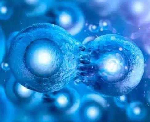 干细胞3D培养企业华龛生物完成数千万人民币A轮融资