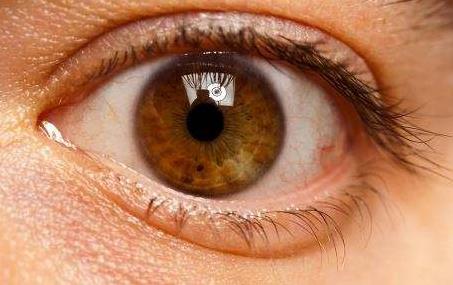 抗VEGF眼科药物今年上半年销售业绩公布