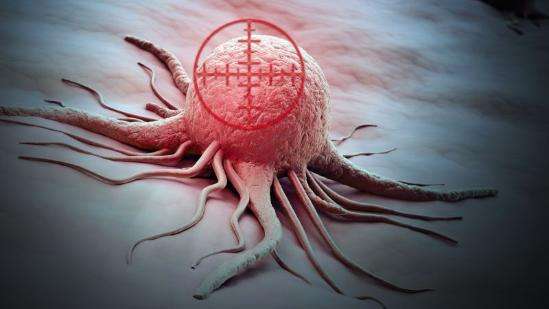 基石药业在2020年CSCO年会上公布GIST精准靶向药阿泊替尼在中国人群的桥接研究初步结果