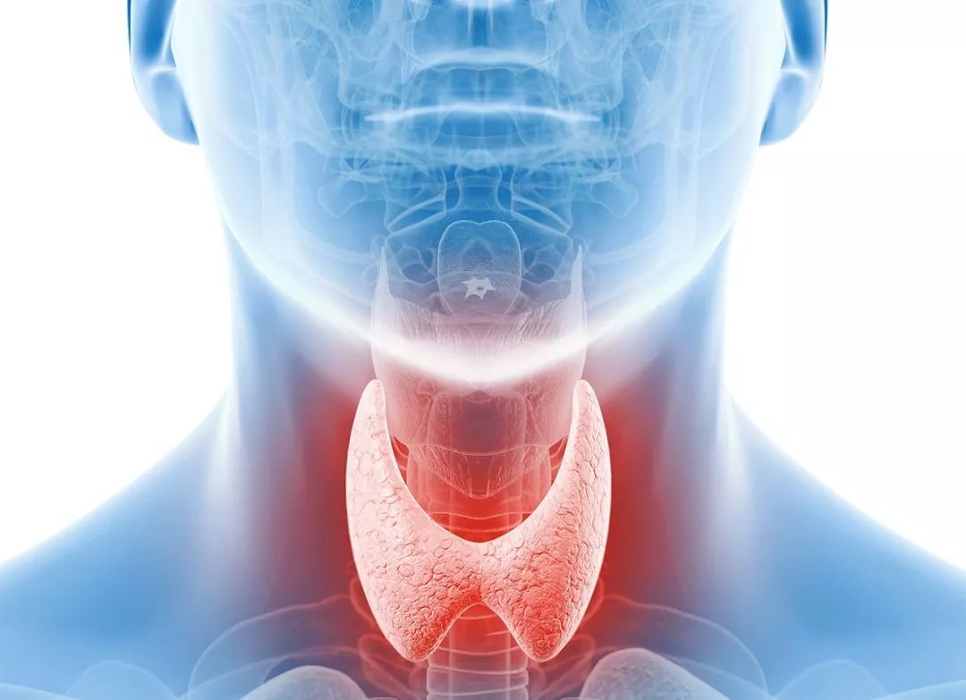 创新靶向药RET抑制剂Pralsetinib扩展适应症获美国FDA批准，用于治疗甲状腺癌