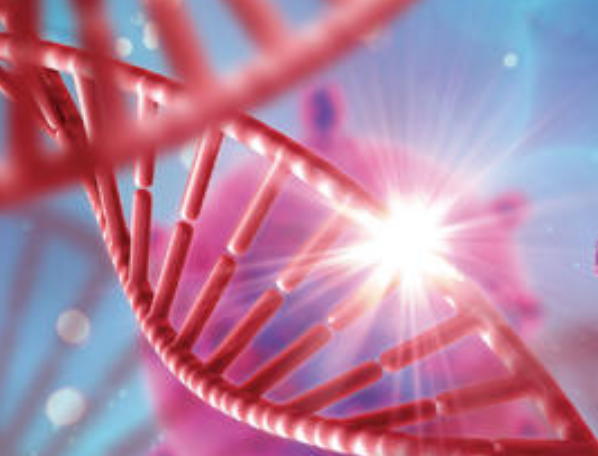 首个国产PARP抑制剂获批在即