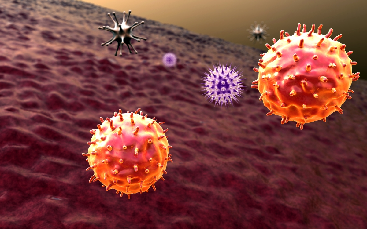 细胞更新代谢产物也是药物靶标？全球“第一且唯一”专注代谢分子的公司欲开发全新疗法