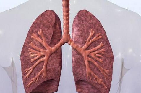 超30亿，口服小分子药物License out创新记录