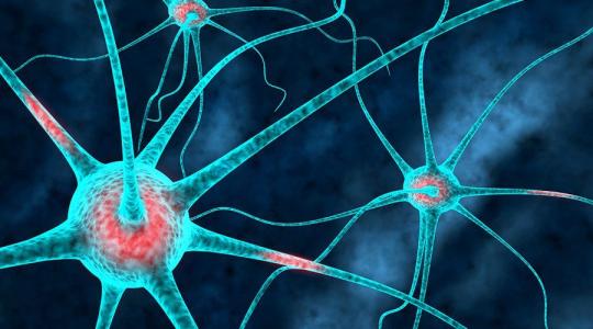 北京病痛挑战公益基金会携手诺华制药联合发布全国首部多发性硬化患者纪录片《让爱可及》