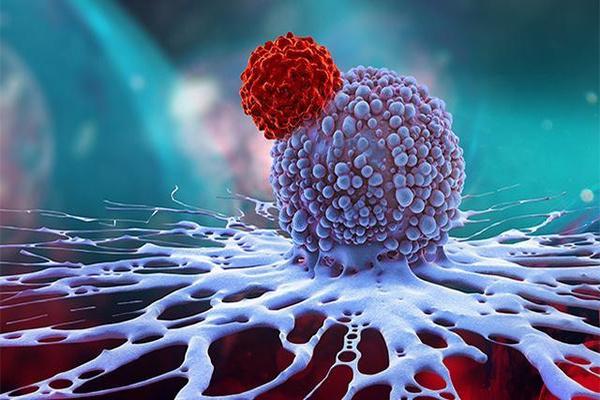 黑色素瘤双靶、双适应症药物2020年医保价格正式实施，助益更多患者减轻负担